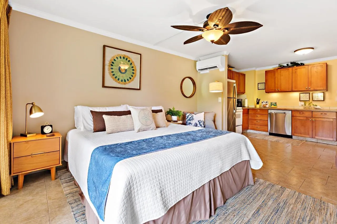 Kahana Napili Shores D132 0*,  ארצות הברית